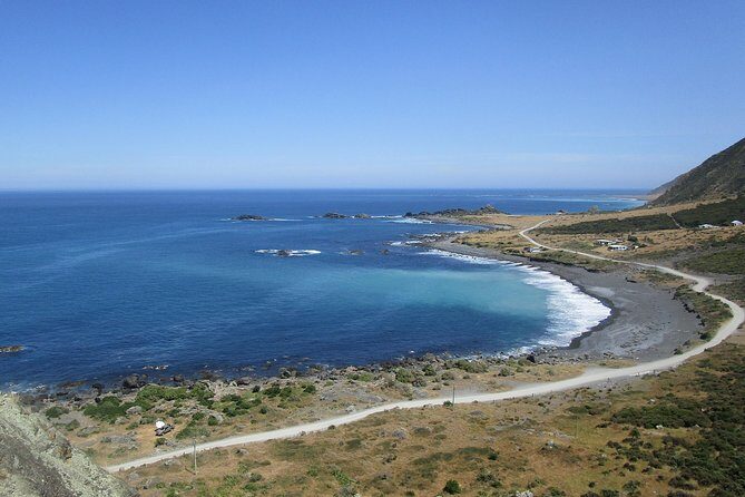 "Pinot to Palliser tour" - Guided tour to Cape Palliser vith lunch + winetasting - Wrapping Up with Wine Tasting