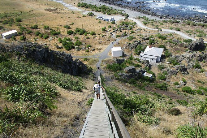 "Pinot to Palliser tour" - Guided tour to Cape Palliser vith lunch + winetasting - Additional Details and Practicalities