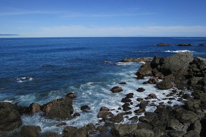 "Pinot to Palliser tour" - Guided tour to Cape Palliser vith lunch + winetasting - Final Thoughts: Is This Tour Right for You?