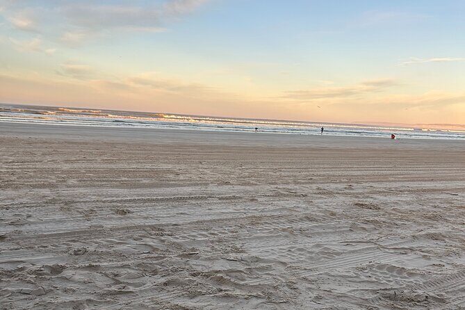 Pipi Catching and Cooking Experience in Goolwa - What to Expect During the Tour