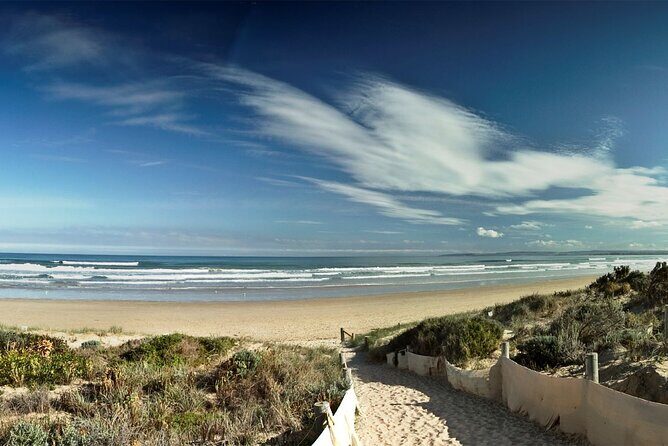 Pipi Catching and Cooking Experience in Goolwa - The Group Size and Atmosphere