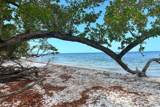 Pirate Adventure in Florida - Introduction: Why Consider the Pirate Adventure in Florida?