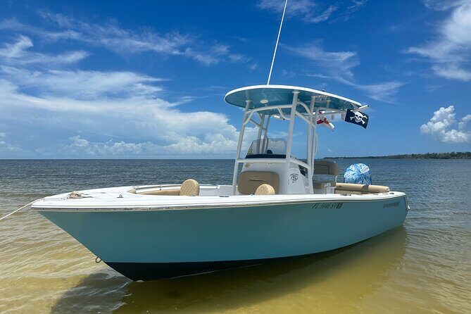 Pirate Adventure in Florida - Practical Details: What to Expect