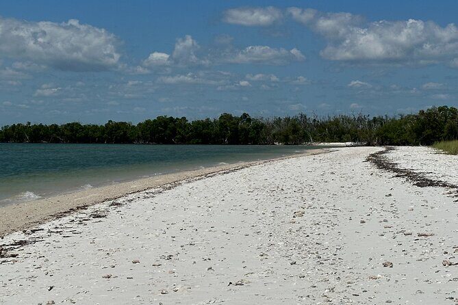 Pirate Adventure in Florida - How Does It Compare to Other Experiences?