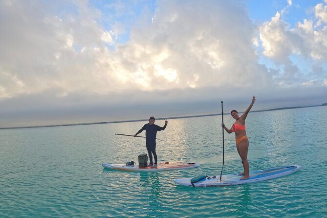 Pirate's Channel & 3 Lagoons Kayak or SUP/Paddle Tour +Meditation - Authentic Reviews from Participants