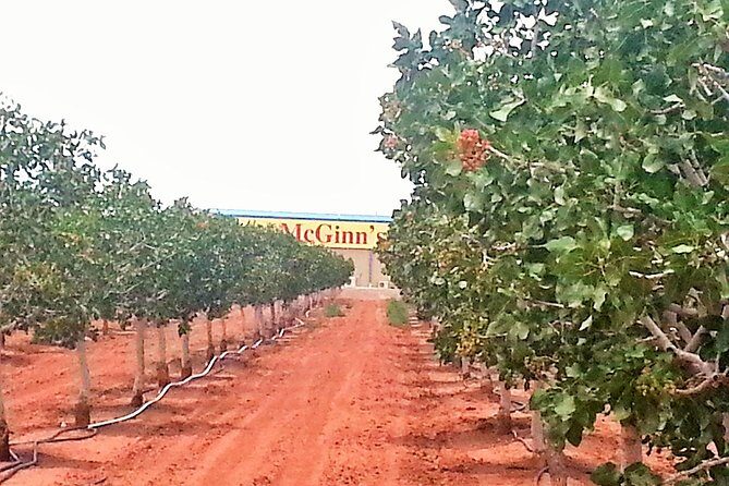 PistachioLand Farm Tour - The Tour Itself: What to Expect