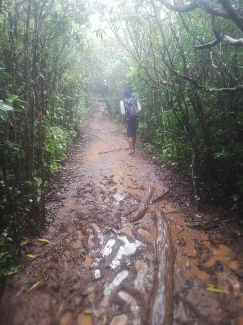 Piton de la petite rivière noire Hike - Key Points