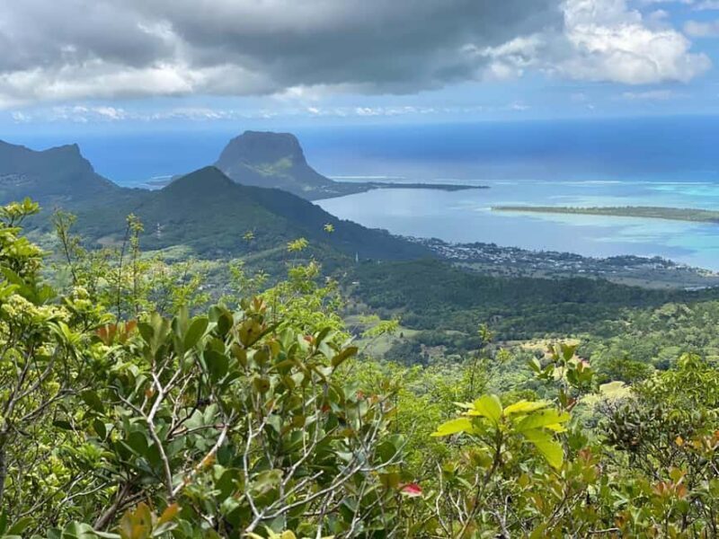 Piton de la petite rivière noire Hike - Flora, Fauna, and Education