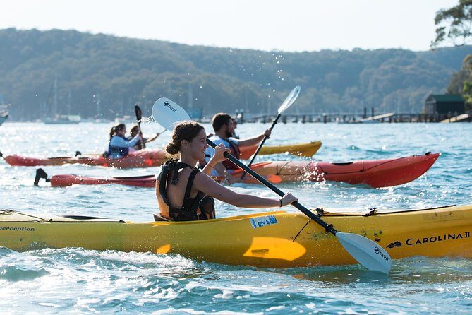 Pittwater Discovery Kayaking Tour - Key Points