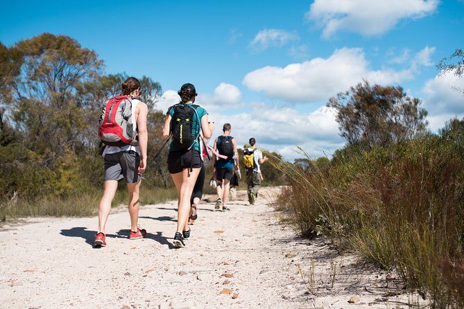 Pittwater Discovery Kayaking Tour - The Value of This Experience