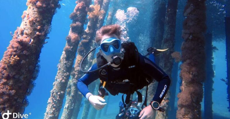 Pivate scuba diving in the Red Sea of Aqaba - Final Thoughts: Who Should Book This?