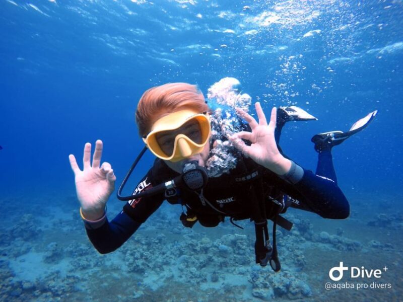 Pivate scuba diving in the Red Sea of Aqaba - Final Word