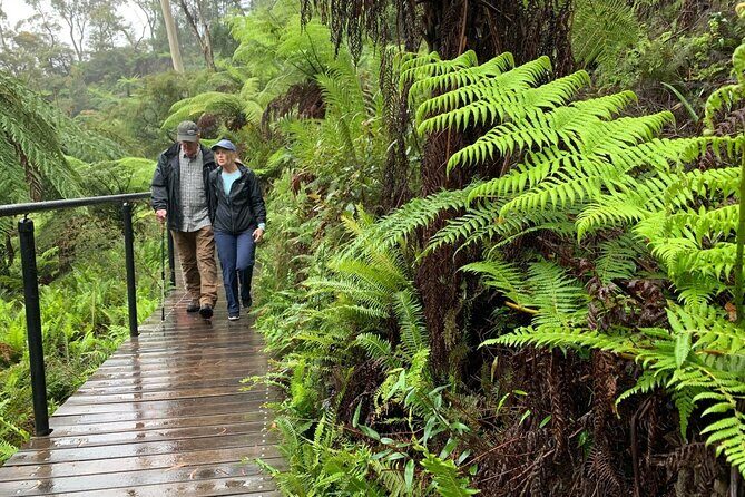 PJ Blue Mountains Supreme [Private Charter] - The Sum Up: Is This Tour Right for You?