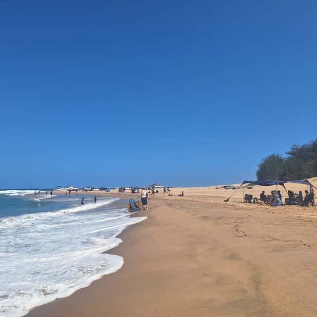 Place of Wonder: Isimangaliso Wetland Park - Safari Drives - Exploring Isimangaliso: A Closer Look