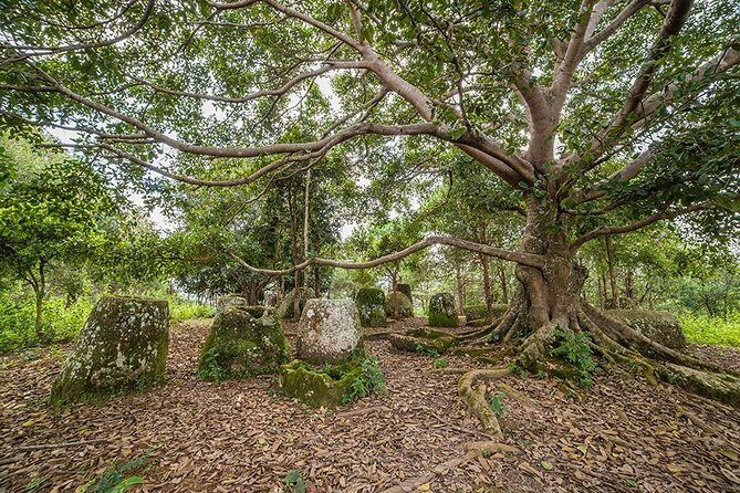 Plain of jars tour with local guide - FAQs About the Plain of Jars Tour