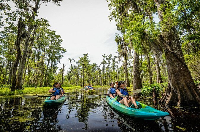 Plantation and Kayak Swamp Tour Adventure - Final Thoughts on Value and Suitability