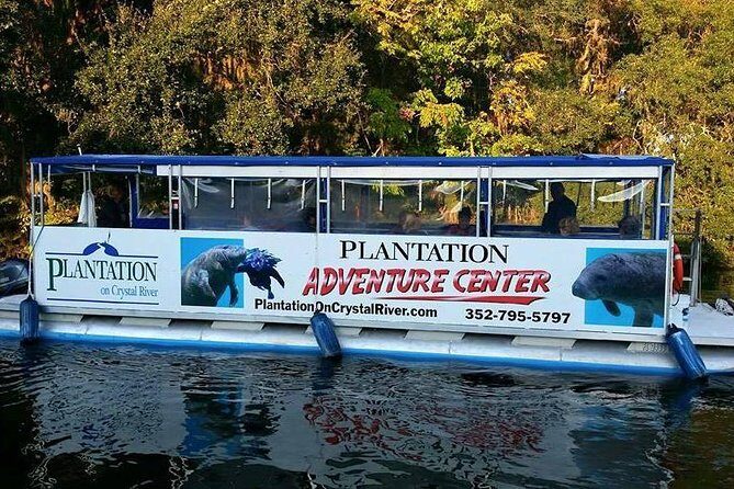 Plantation's Kings Bay Scenic Cruise - Practical Tips for Travelers