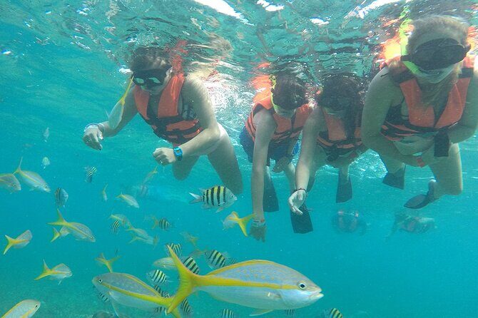 Platinum Catamaran, Drinks, Party and Beach Club! From Cancun - What Travelers Say