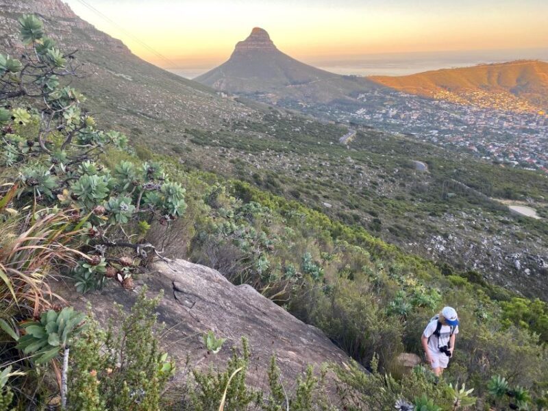 Platteklip Guide Hike + Cable Car Down | With Hotel Pick-up - Key Points
