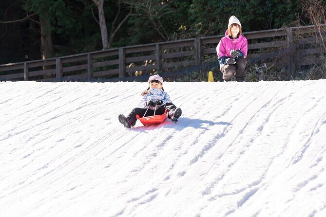 Play with Snow Crab Buffet Lunch and Strawberry Picking Bus Tour - Play with Snow Crab Buffet Lunch and Strawberry Picking Bus Tour: A Practical Guide for Winter Fun in Osaka