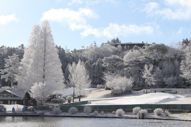 Play with Snow Crab Buffet Lunch and Strawberry Picking Bus Tour - Starting Point and Logistics