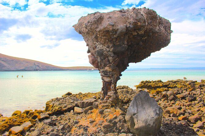 Playa Balandra with Beach Experience and La Paz Guided Tour! La Paz Round Trip - The Sum Up