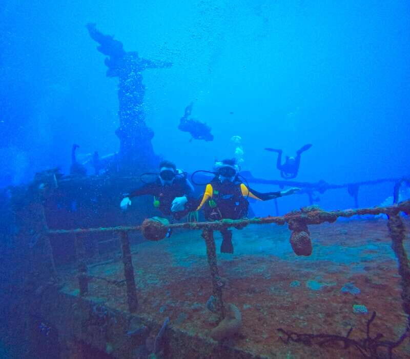 Playa del Carmen: 2-Tank Reef Dive - An In-Depth Look at the Playa del Carmen 2-Tank Reef Dive