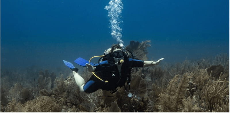 Playa del Carmen: Discover Scuba Diving - Final Thoughts on Value