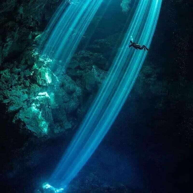 Playa del Carmen: Diving at Cenote Dos Ojos - The Practical Side: Costs, Group Size, and Booking