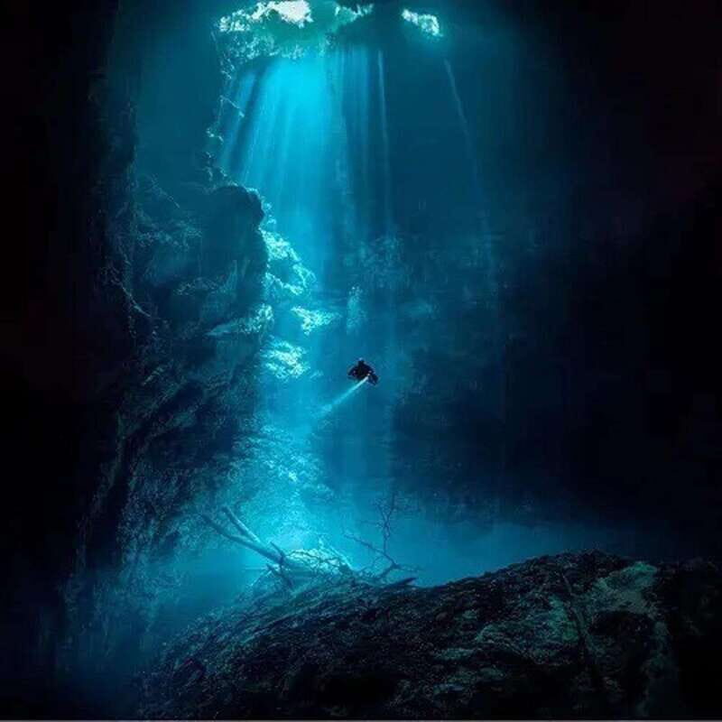 Playa del Carmen: Diving in Cenotes The Pit and Dos Ojos - Key Points