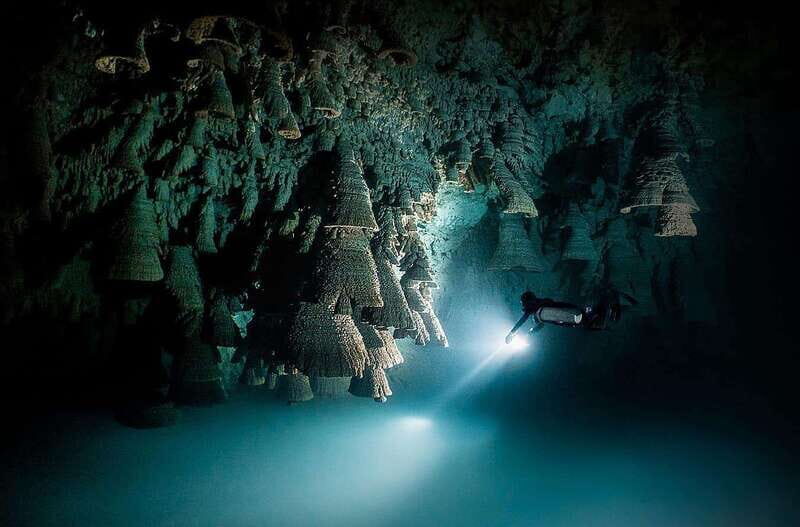 Playa del Carmen: Explore the Surreal World of Cenote Diving - What to Expect During Your Cenote Adventure