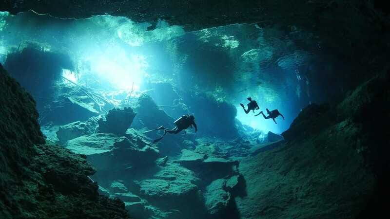 Playa del Carmen: Explore the Surreal World of Cenote Diving - The Unique Appeal of Each Cenote