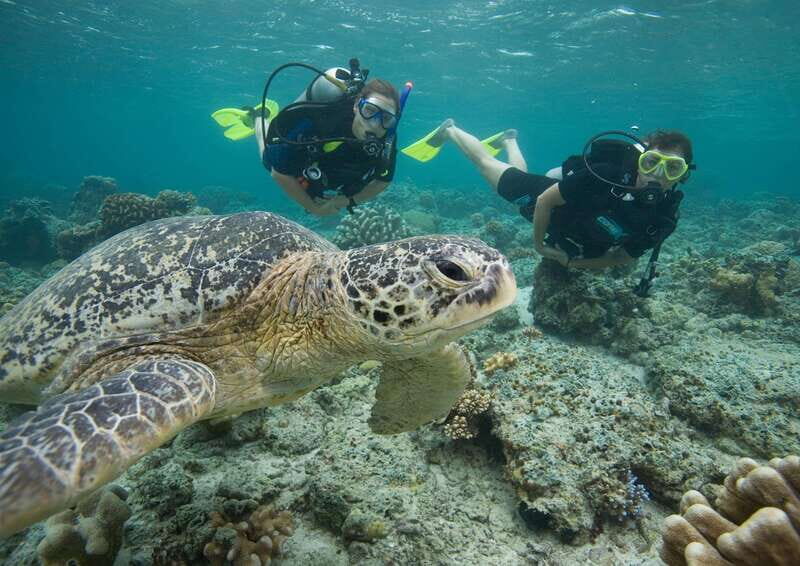 Playa del Carmen: Extreme Cozumel Diving by Speed Boat - Key Points
