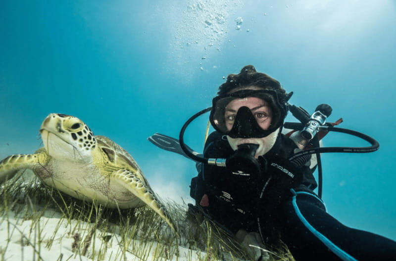 Playa del Carmen: Guided Reef Diving for Certified Divers - Who Will Benefit Most from This Experience?