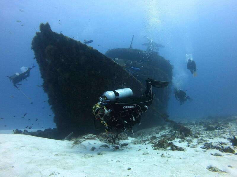 Playa del Carmen: MamaViña Wreck & Reef for Certified Divers - Why Choose This Tour?