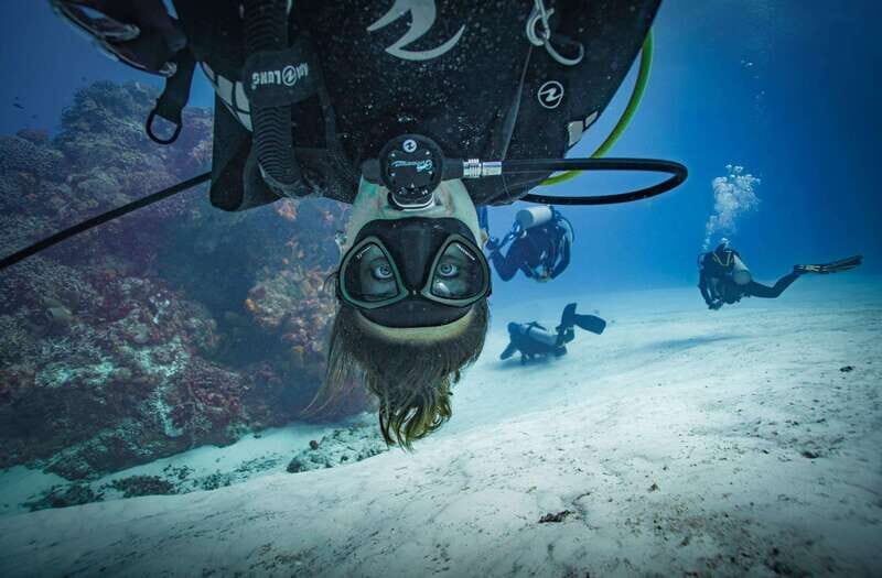 Playa del Carmen: Open Water Course - What to Expect from the Playa del Carmen Open Water Course