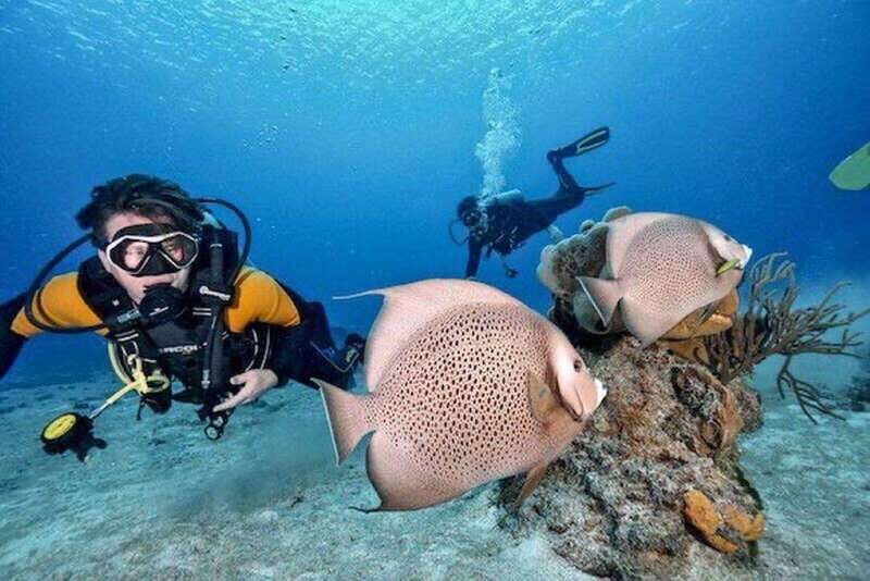 Playa del Carmen: Open Water Course - Who Will Appreciate This Course?