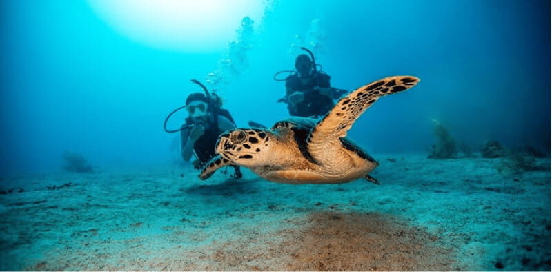 Playa del Carmen: Open Water Diver Course - Exploring Playa del Carmen’s Open Water Diver Course