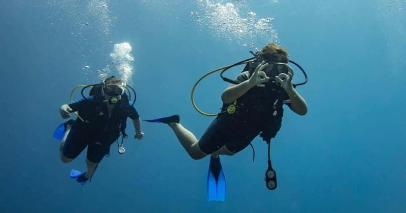 Playa del Carmen: Refresher Dive - Final Thoughts