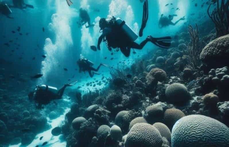 Playa del Carmen: Scuba Diving for certified divers - Key Points