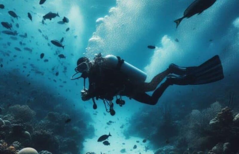 Playa del Carmen: Scuba Diving for certified divers - Setting Expectations for Your Playa del Carmen Reef Adventure