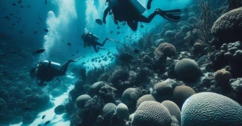 Playa del Carmen: Scuba Diving for certified divers - Practical Details and Logistics