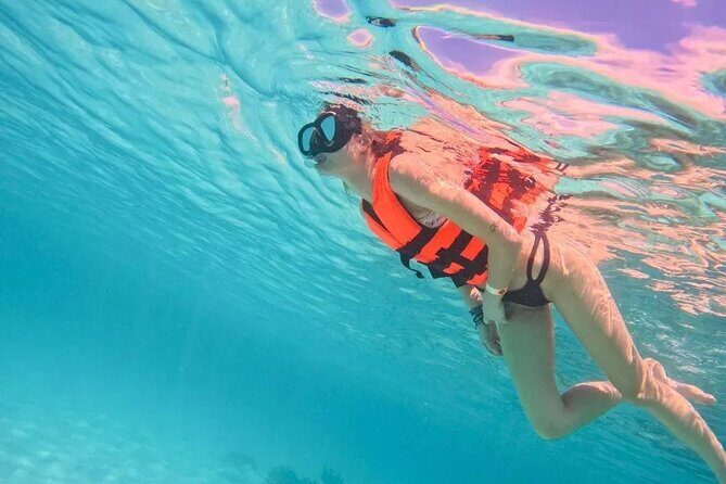 Playa del Carmen Tour Akumal Swimming With Turtles And Lagoon Yal Ku - Key Points