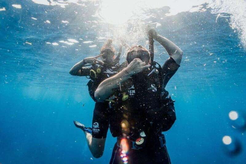 Playa del Carmen: Try Scuba Diving - No Experience Required - An Authentic Underwater Intro in Playa del Carmen