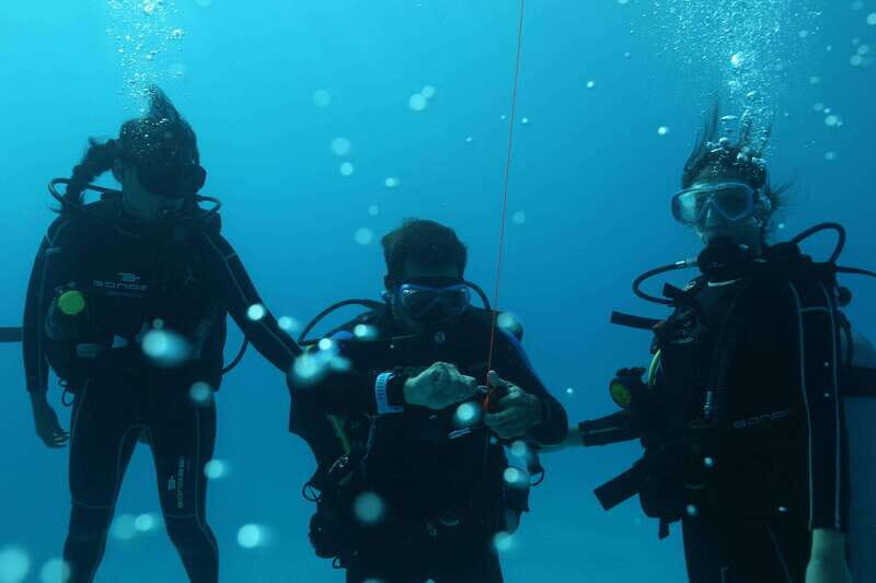 Playa del Carmen: Try Scuba Diving - No Experience Required - The Sum Up