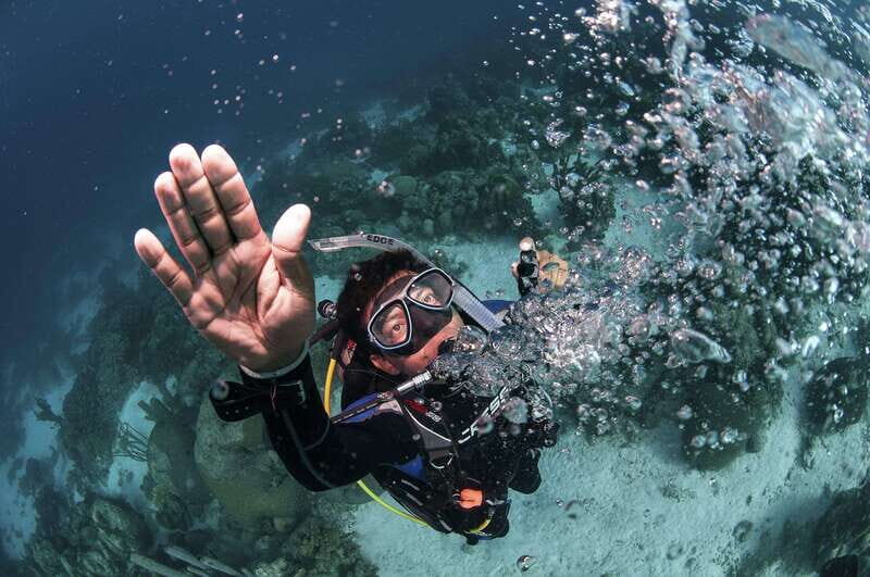 Playa del Carmen: Ultimate PADI Open Water Diver Experience - Introduction: What This Experience Offers