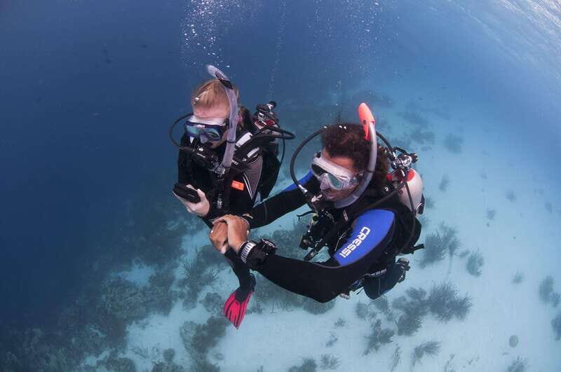 Playa del Carmen: Ultimate PADI Open Water Diver Experience - Why Travelers Love This Experience