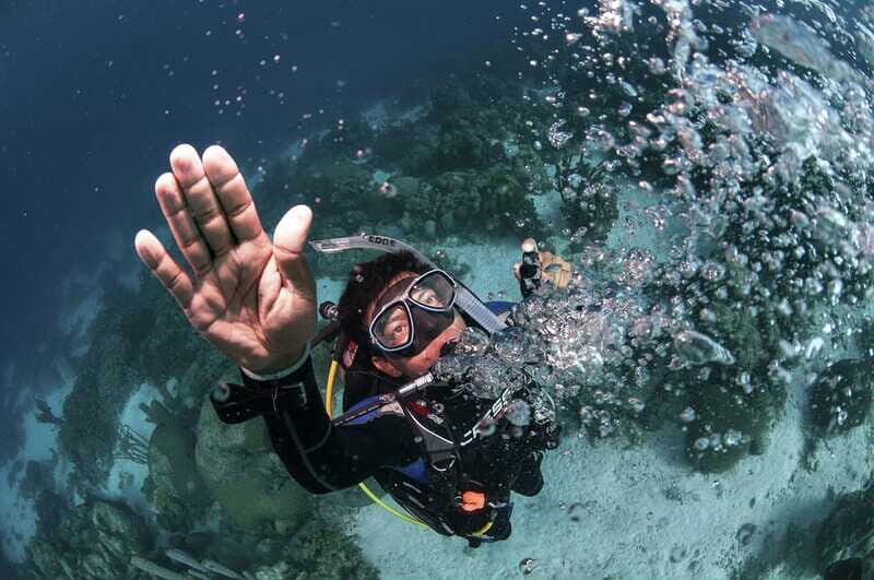 Playa del Carmen: Ultimate PADI Open Water Diver Experience - Why This Tour Stands Out