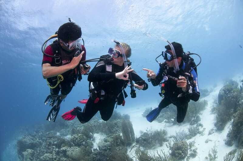Playa del Carmen: Ultimate PADI Open Water Diver Experience - The Value of the Experience
