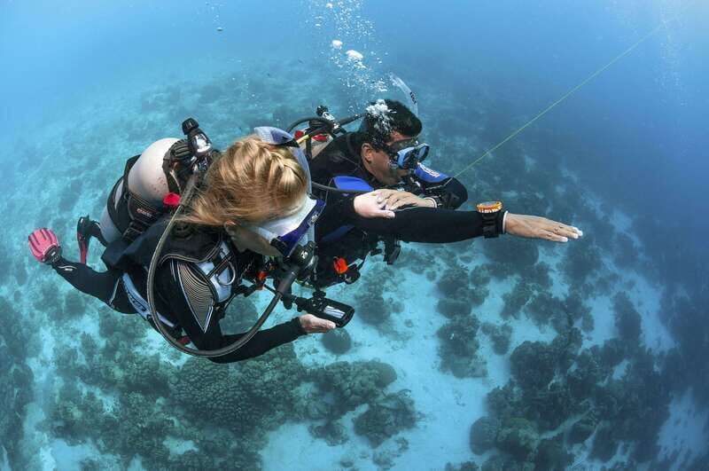 Playa del Carmen: Ultimate PADI Open Water Diver Experience - Who Should Consider This Tour?
